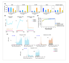 Optimized ribosome profiling reveals new insights into translational regulation in synchronized Chlamydomonas reinhardtii cultures