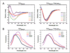 Engineering of dual functional hybrid glucanases