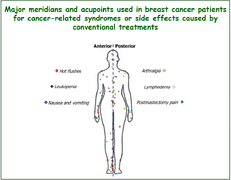 Herbal Medicine and Acupuncture for Breast Cancer Palliative Care and Adjuvant Therapy (Review Article)