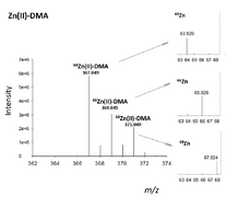 Identification of metal species by ESI-MS/MS through release of free metals from the corresponding metal-ligand complexes