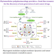 Phytomedicine polypharmacology: Cancer therapy through modulating the tumor microenvironment and oxylipin dynamics