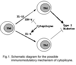 Cytopiloyne, a novel polyacetylenic glucoside from Bidens pilosa, functions as a T helper cell modulator相片
