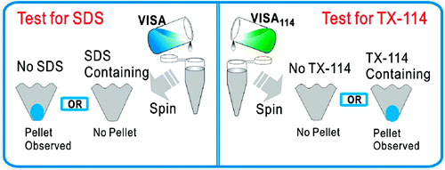 Visual Indicator for Surfactant Abundance in MS-Based Membrane and General Proteomics Applications相片