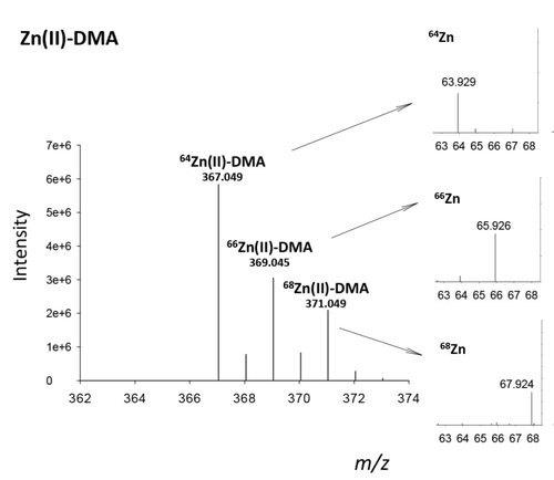 Identification of metal species by ESI-MS/MS through release of free metals from the corresponding metal-ligand complexes