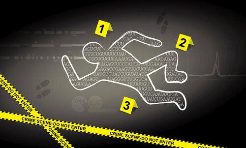 Crime scene reconstruction: determining time of RNA death by analysis of RNA degradation fragments