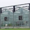 GMO Greenhouse Core Facility