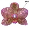 Orchid Transformation Core Facility