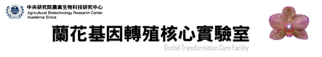  Lab logo