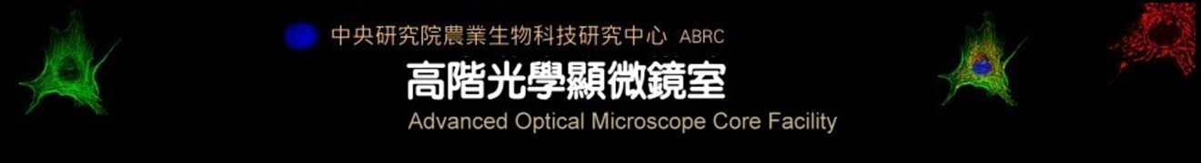 查無此人2 logo 查無此人2 logo