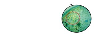 董啟功Lab logo