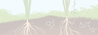 Jian-You Wang Lab Banner