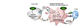Hui-Ming Chen Lab Banner