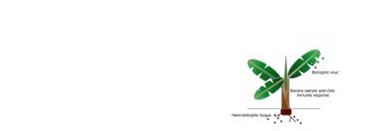 Hsin-Hung Yeh Lab Banner