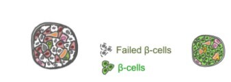 Wen-Chin Yang Lab Banner