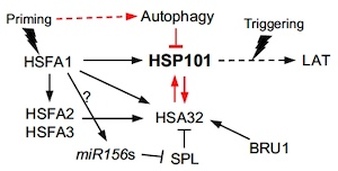 常怡雍實驗室底圖